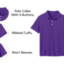 Grape (5-Pack) 12 10-Pack School Uniform Tagless Polo Tshirt for Little Boys & Big Boys
